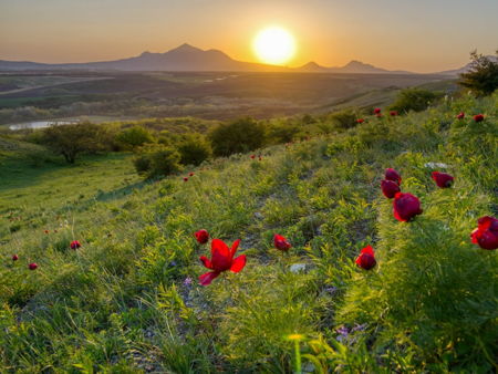 Гора Бештау