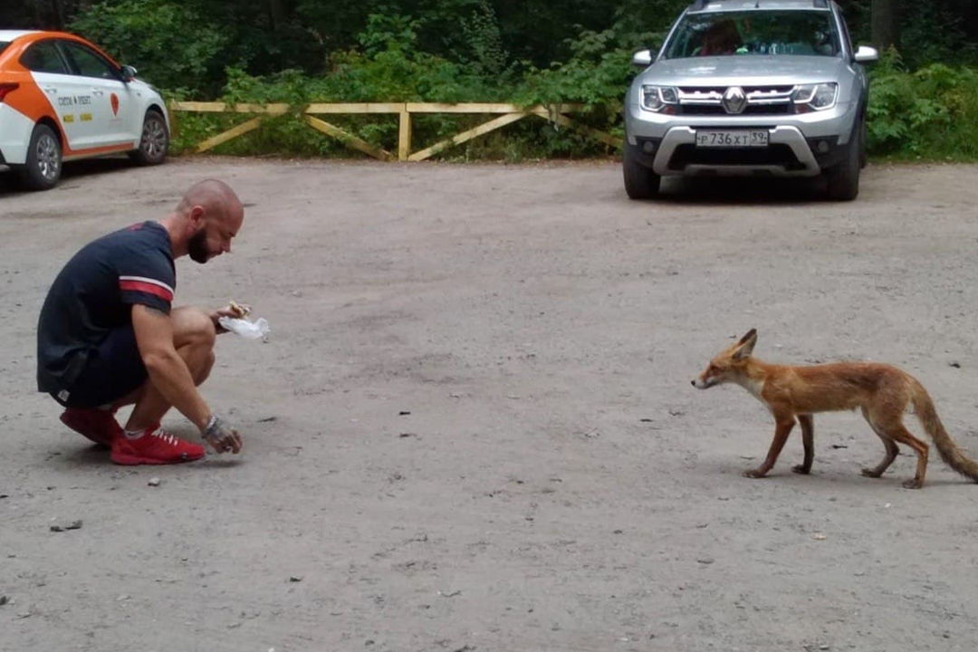 Куршская коса — любовь за один день и на всю жизнь! — фото 5