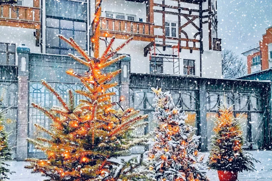 Новогодняя сказка янтарного края: Калининград и Зеленоградск — фото 1