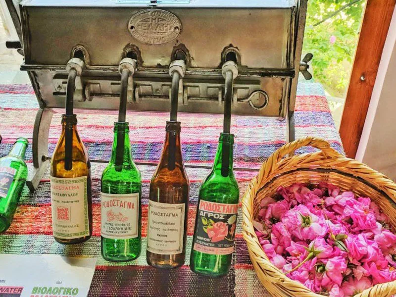 Гурмэ-вояж по Кипру — фото 3, Айя Напа | Покатаем