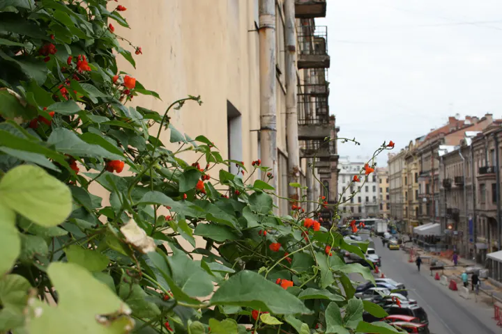 Улица Рубинштейна