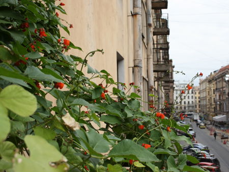 Улица Рубинштейна