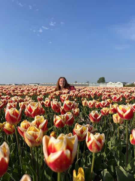 Из Амстердама в парк тюльпанов Кекенкоф - фото 13