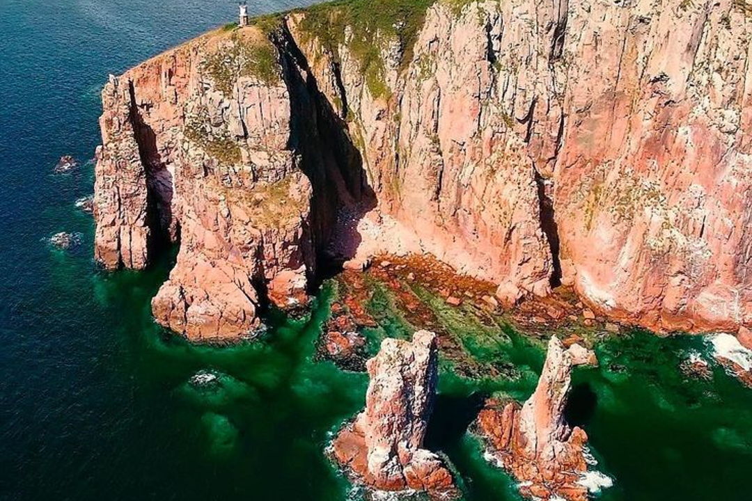 По островам Шкота и Русский за один день! — фото 2