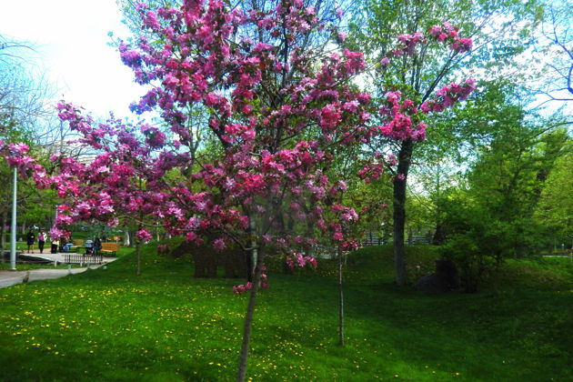 Виды Обзорный тур по городу Ереван 