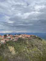 Экскурсия "Велисцихе: история кахетинского виноделия с винным музеем Numisi" - фото отзыва 4