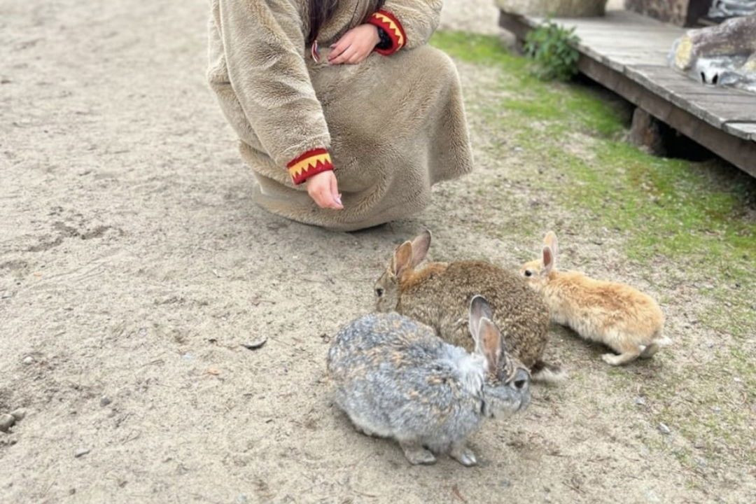 Путешествие в Саамскую деревню.Знакомство с коренным народом севера. — фото 7