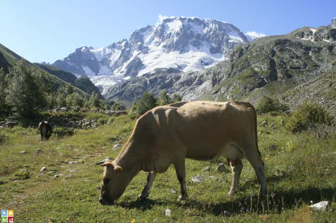 Уллу тау на машине