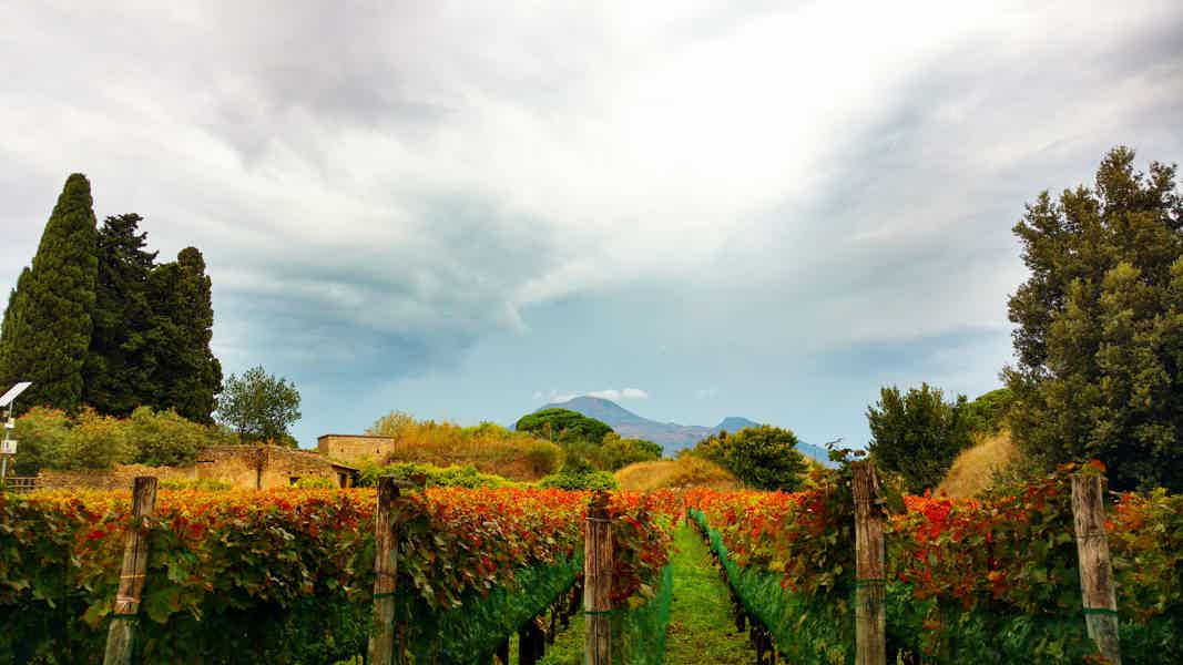  Римские виноградники и дегустация вина - частная экскурсия - фото 5