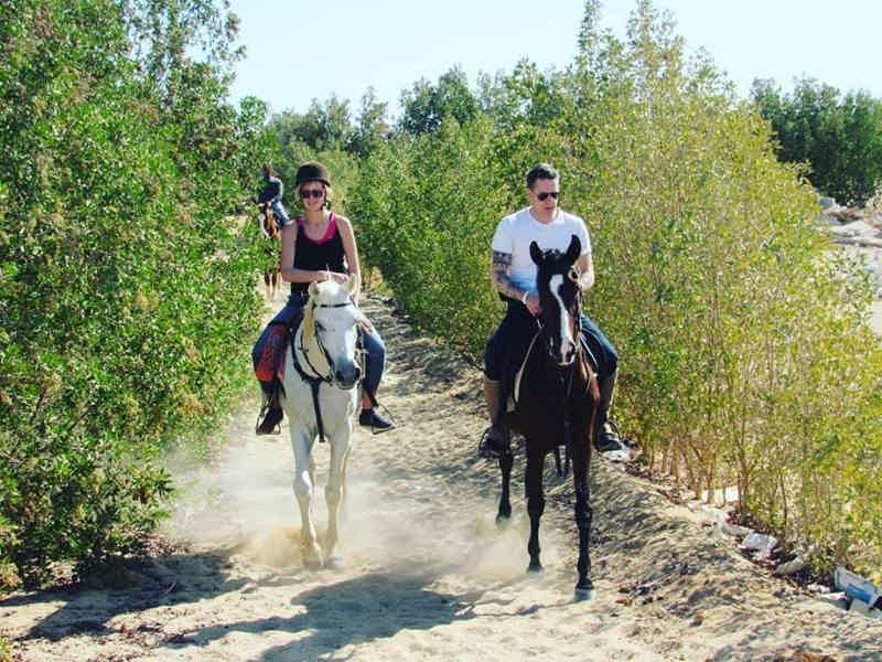 Прогулки на лошадях в Хургаде для новичков и опытых всадников - фото 1