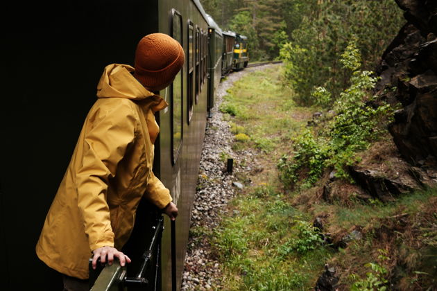 Главное изображение экскурсии - Гостеприимная Сербия. Дрвенград, Шарганская восьмерка и сербские рукоделы