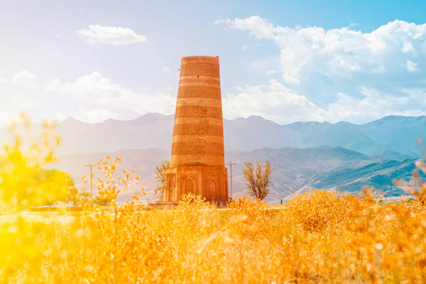 Canyons + secrets of Burana Tower — photo 6, Bishkek | Pokataem