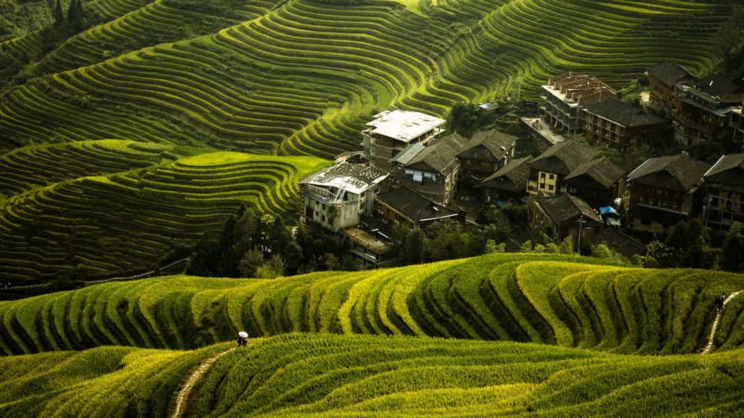 Рисовые террасы Лунцзи (Longji): хайкинг, деревни и локальная кухня - фото 1