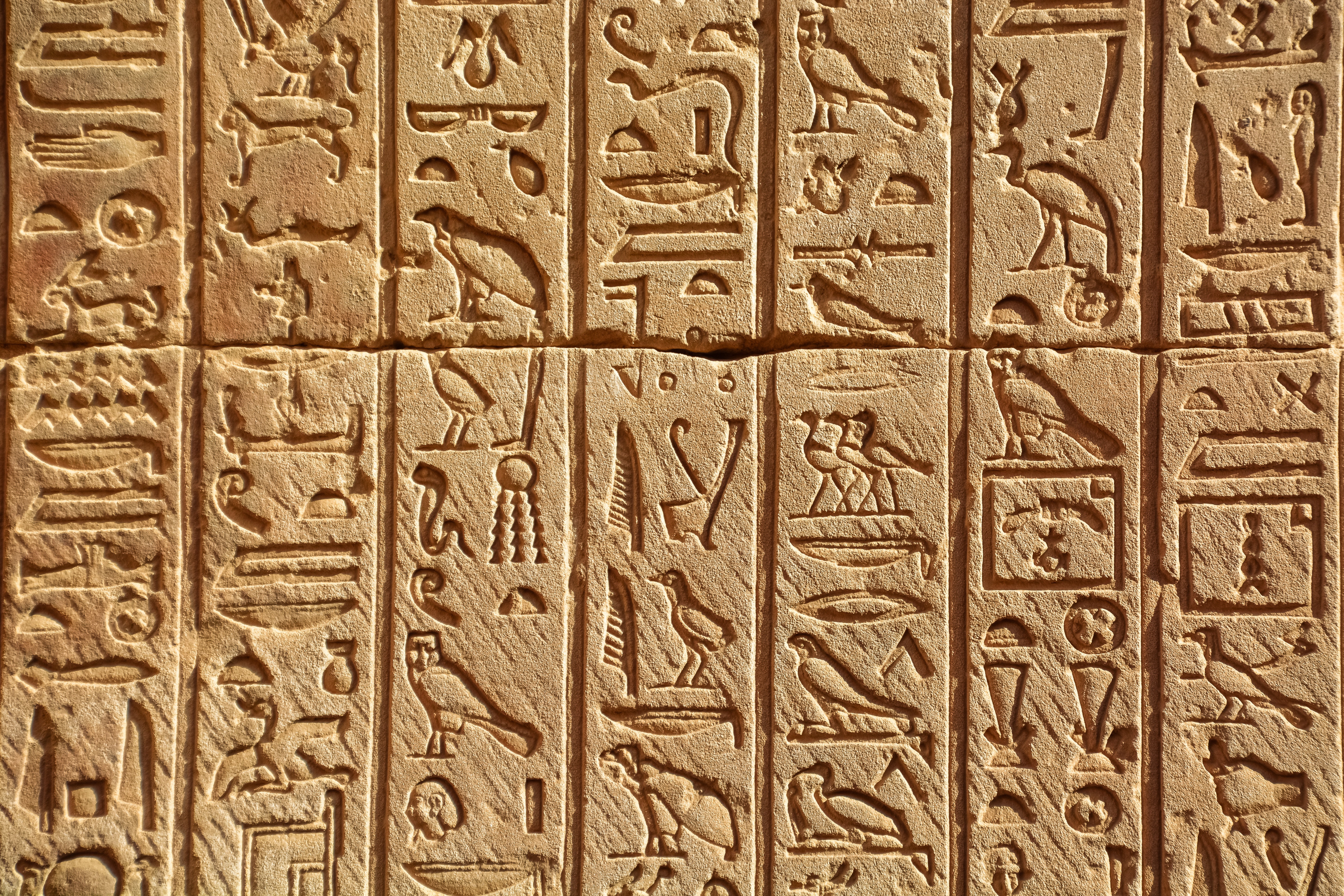Египет первый появился. Иероглифическая письменность Египта. Иероглифика древнего Египта. Идеограммы древнего Египта. Письмена древнего Египта.