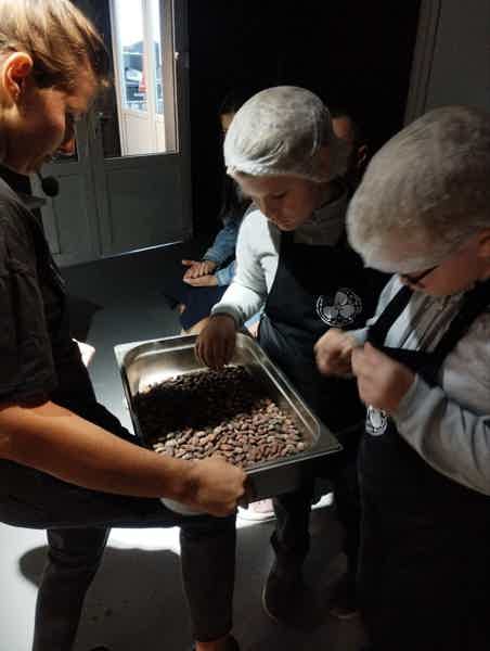 «Путь какао: от боба до шоколадной плитки» - фото 4
