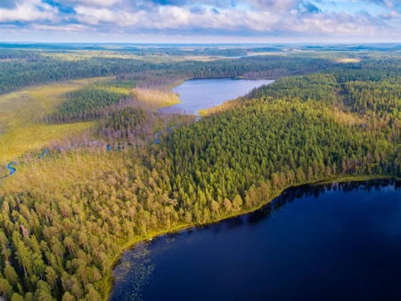 Марциальные воды