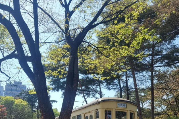 Знакомство с историей Кореи. Квест-экскурсия по Сеулу