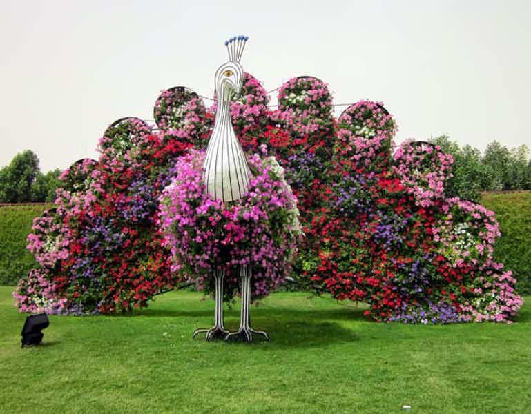 Парк цветов Miracle Garden и всемирная ярмарка Global Village из Абу-Даби - фото 1