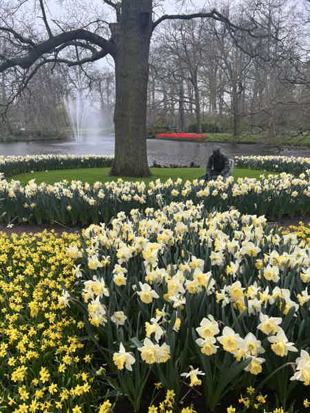 Из Амстердама в парк тюльпанов Кекенкоф - фото 21