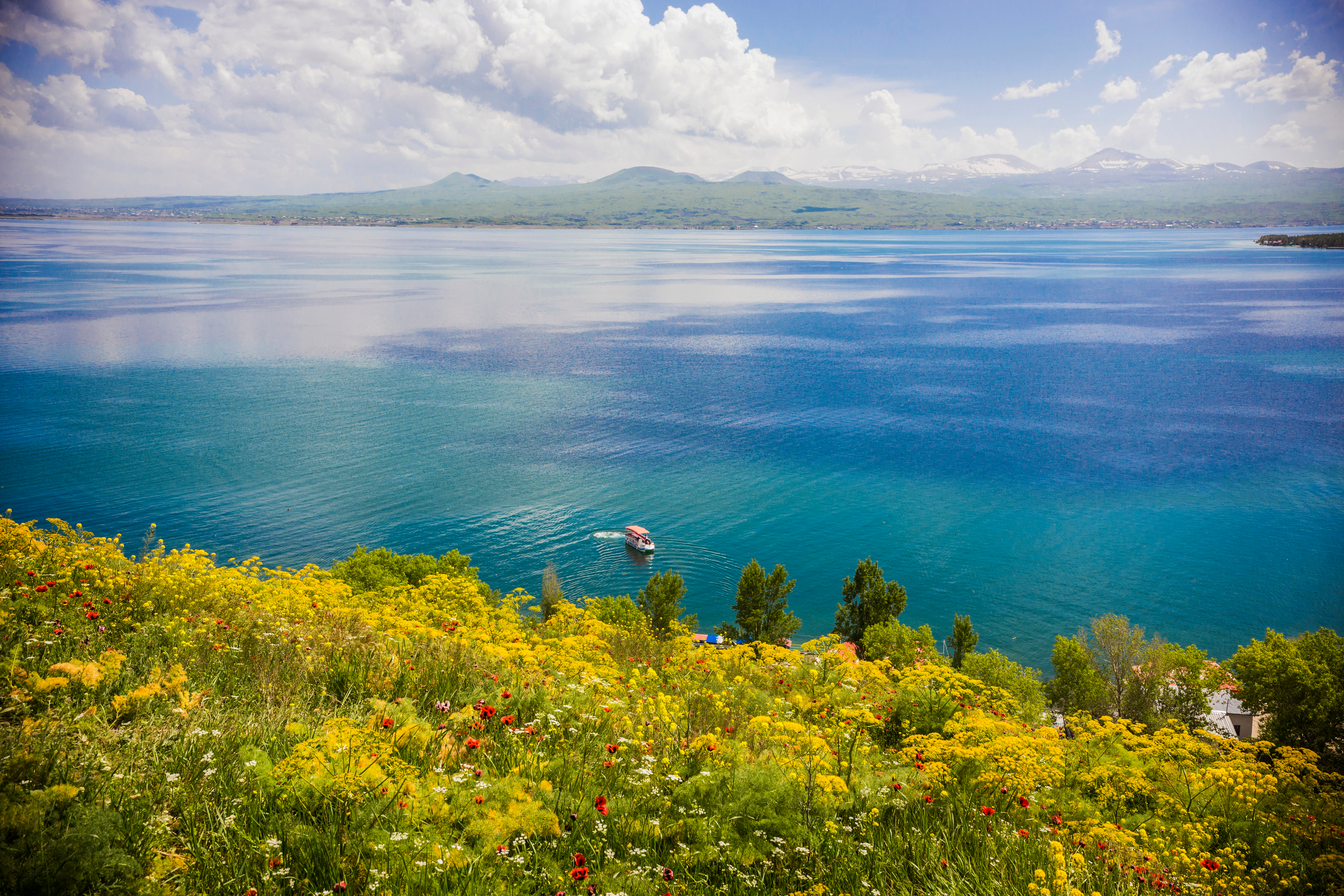 Глубина озера севан. Озеро Севан. Озеро Севан Севанаванк. Озеро Севан фото. Севан озеро цветы.