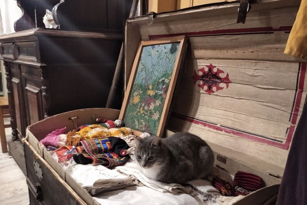 Виды Свечи Святой Люсии на хуторе Милка. Вечернее путешествие перед Рождеством