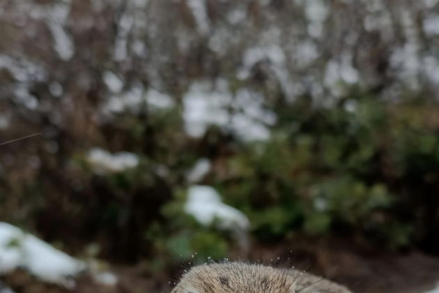 Виды Водопады Джилы-Су и закат на плато Бермамыт за один день из Кисловодска