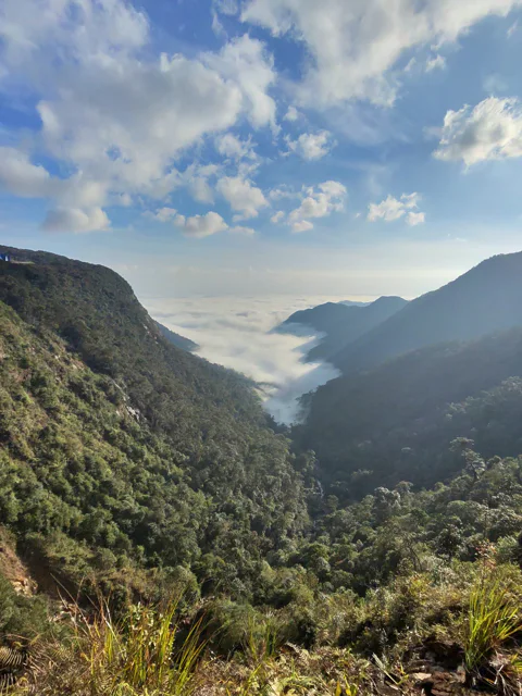 Далат: От классики до диких троп.
Луна и Солнце.