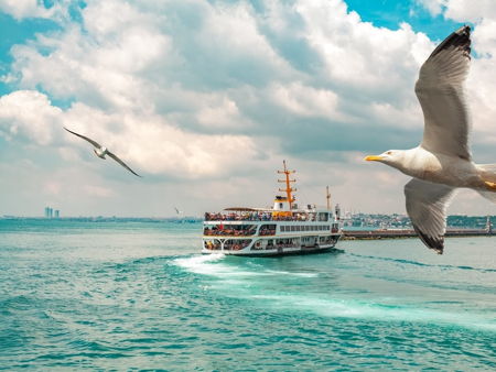 Прогулки по Босфору