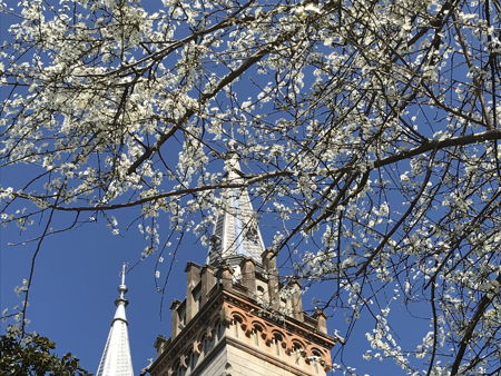 Площадь Европы