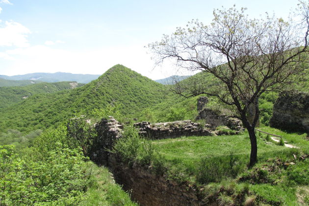 Виды Тианети, Сабадурский лес — ожившая сказка в Грузии  