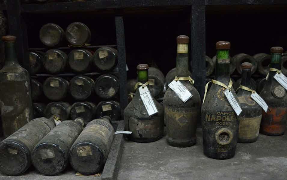 Ода виноградной лозе: Массандра и Музей виноделия - фото 3