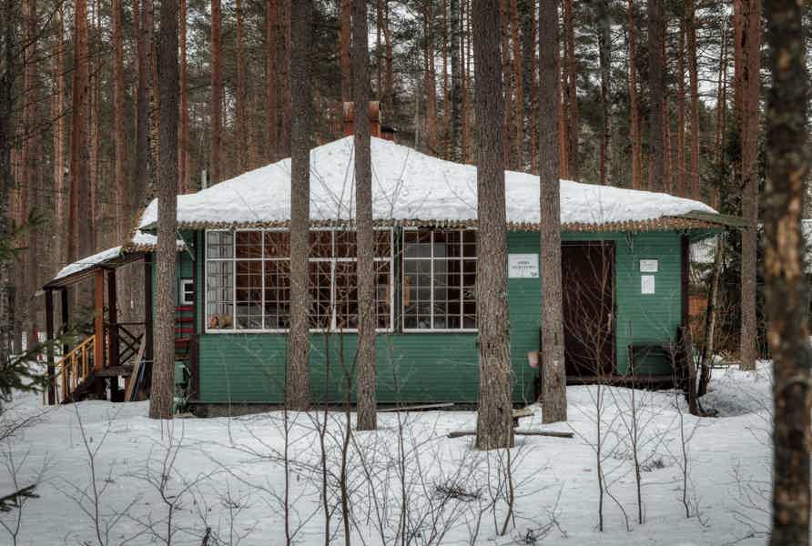 Комарово. Аудиопрогулка по Лесной стороне - фото 2