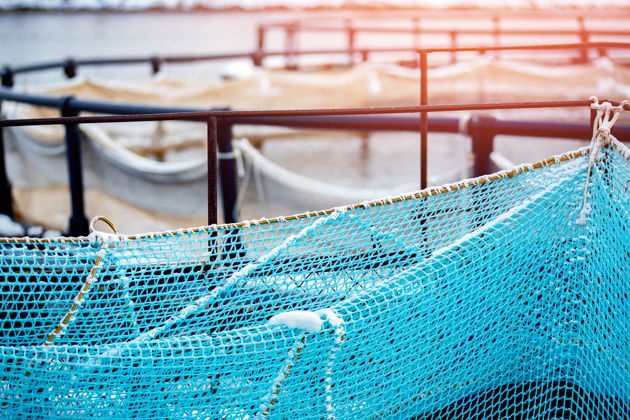 Виды Рыбоводный завод «Биосфера» ФИШ