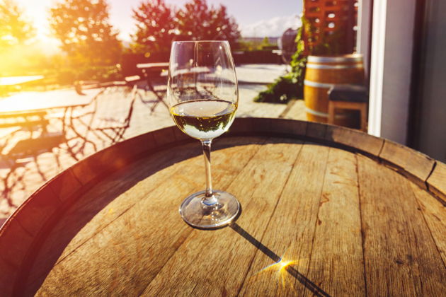 Виды Винный тур и не только: альпаки, древний мавзолей и  обсерватория в горах 