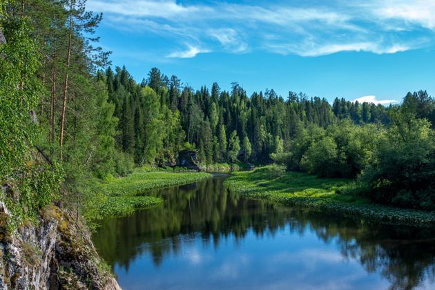 Виды Путешествие в природный парк «Оленьи ручьи»