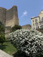 Экскурсия "Групповая прогулка по Старому городу Баку за 2 часа" - фото отзыва 2