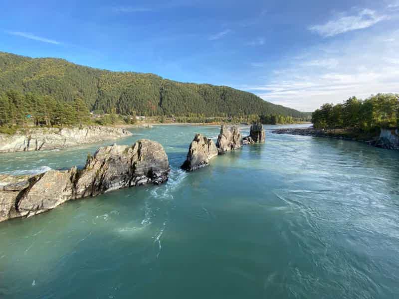 Удивительный Чемал и смотровая Тогоек - фото 1