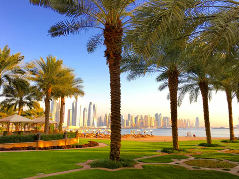Отдых в отеле Fairmont The Palm с бассейном и приватным выходом на пляж
