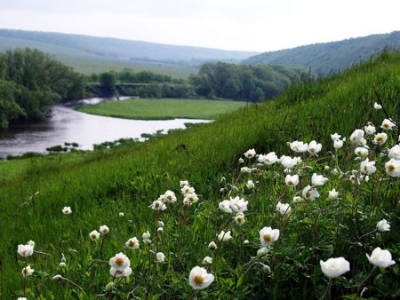 Кудыкина гора