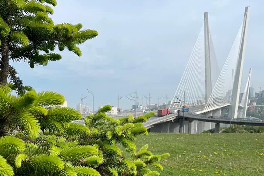 Владивосток на ладони: обзорная на внедорожнике - фото 4