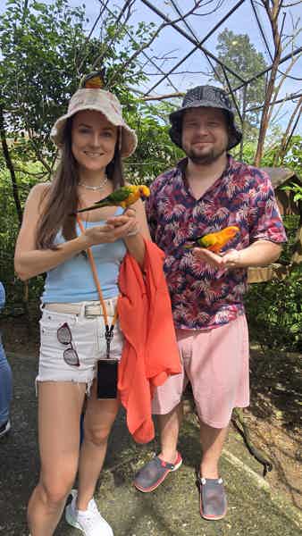 Север острова Себу - сафари-парк и горячие источники  - фото 5