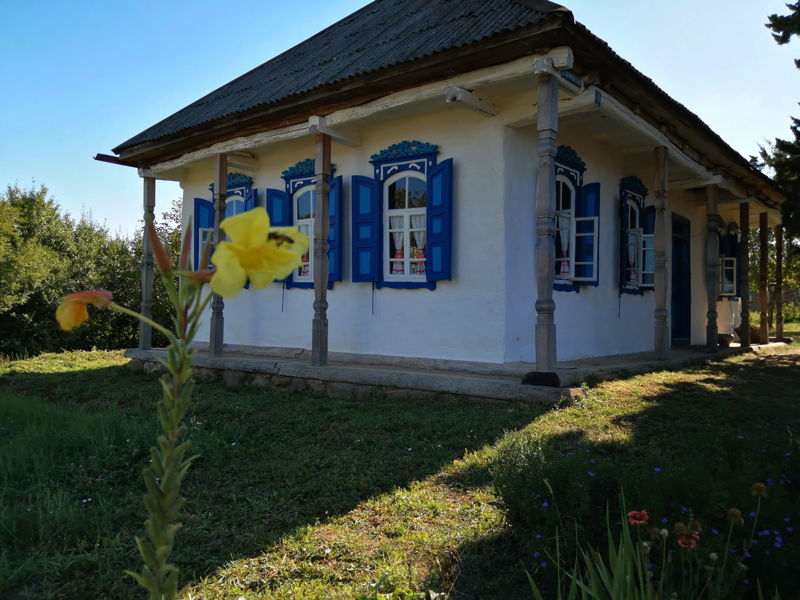 Из Краснодара в Азовскую к казакам - экскурсия в Краснодар, Россия