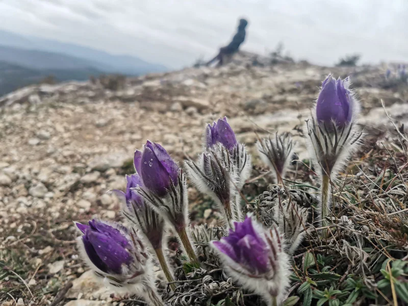 По диким местам Крыма. Едем, куда захотим — фото 5, Бахчисарай | Покатаем