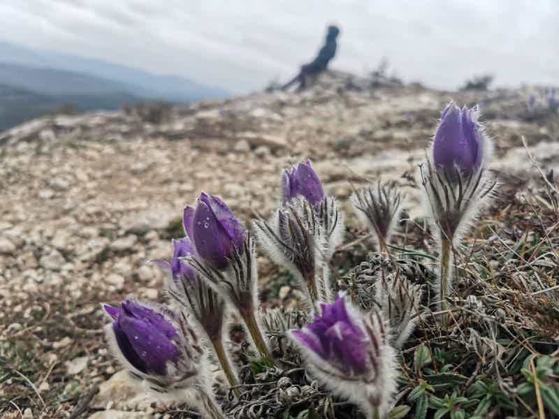 Из Судака по диким местам Крыма: едем, куда захотим - фото 4