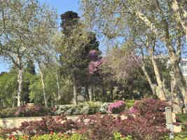 Экскурсия "Марсианские горы, Бешбармаг, Розовое озеро + дегустация икры и горный чай" - фото отзыва 3