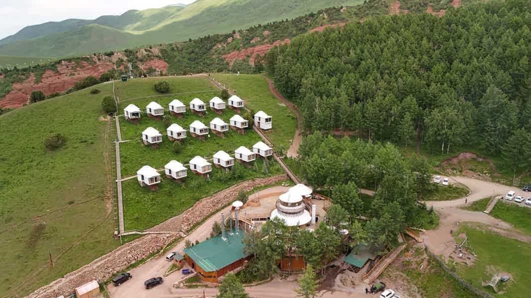 Биосферный заповедник Королевского тюльпана Чункурчак  - фото 1