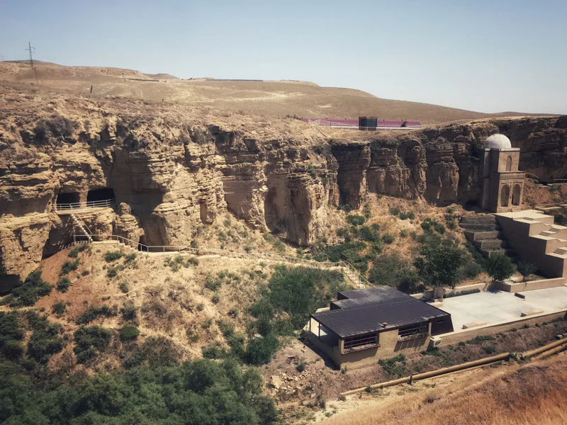 Познакомьтесь с уникальными и дружелюбными альпаками — фото 7, Баку | Покатаем