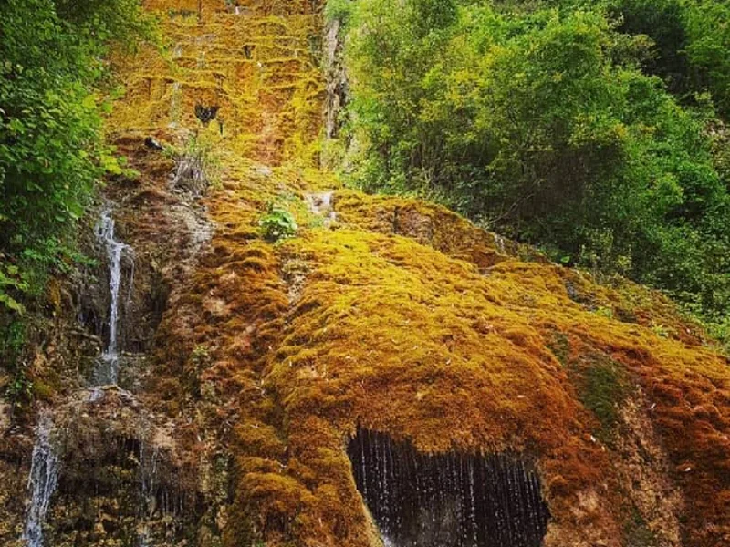 Грузинская Швейцария! Рача - это Рай! Так говорят сами Рачинцы! — фото 5, Тбилиси | Покатаем