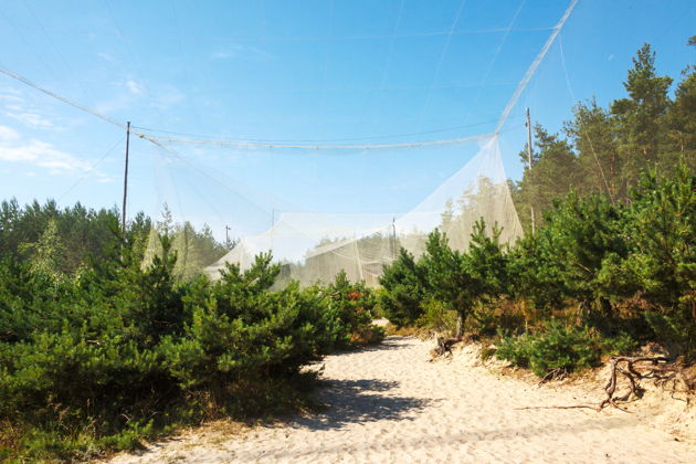 Виды Куршская коса — жемчужина Балтики