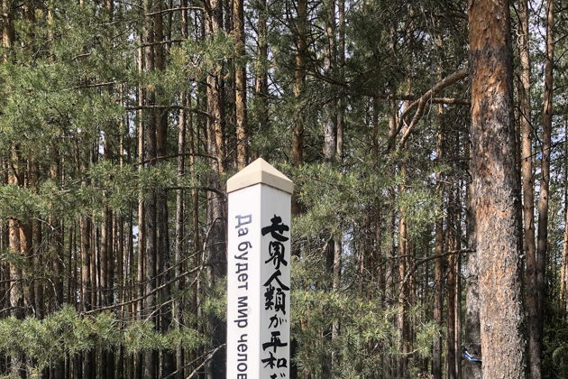 Виды Всё и сразу в Екатеринбурге 